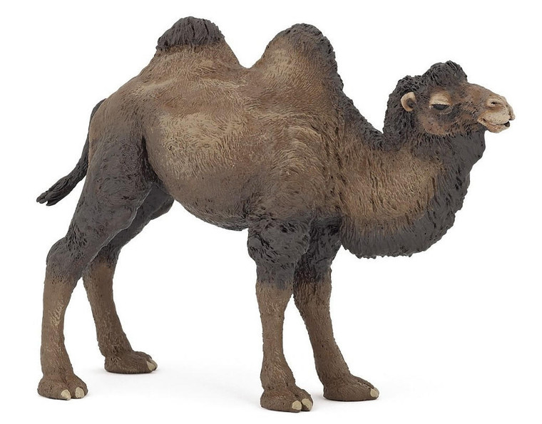  Papo Toys Bactrian Camel 