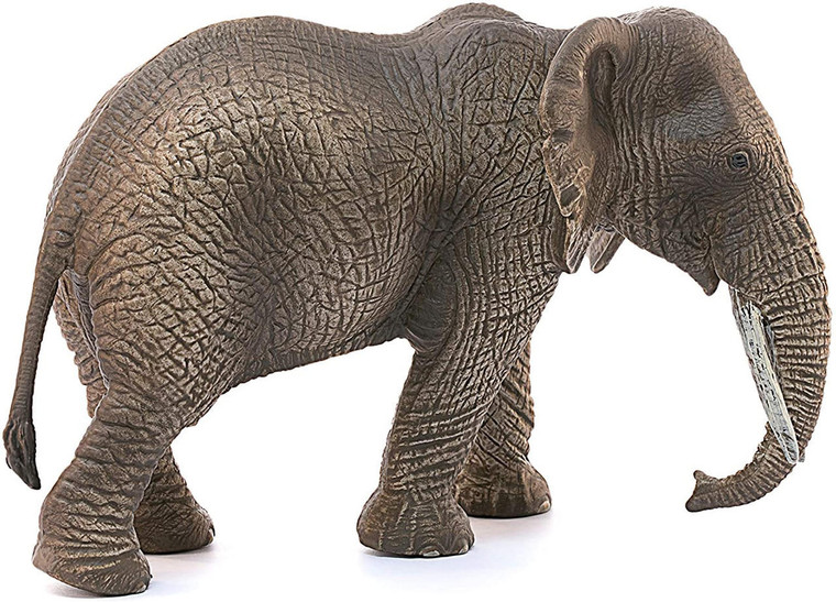  Schleich African Elephant, Female 