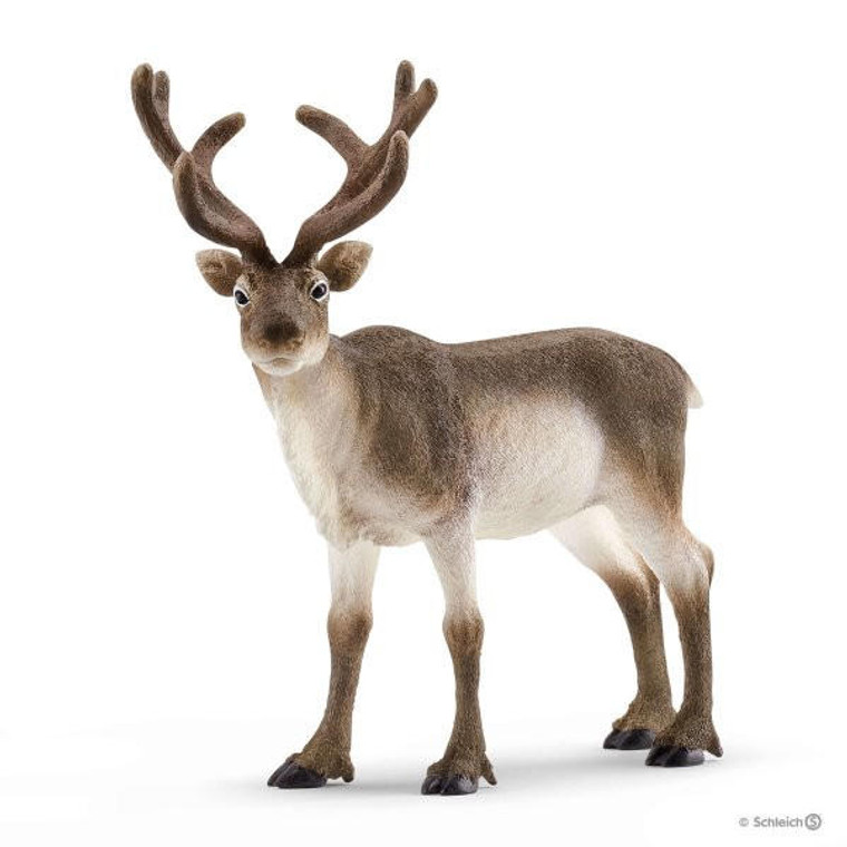  Schleich Reindeer 