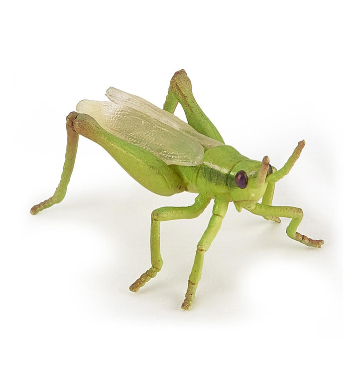  Papo Toys Grasshopper 
