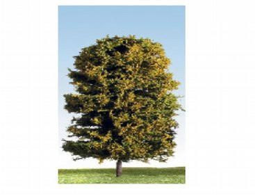  K+M Model Trees 175mm Single Deciduous Mixed Colour Model Tree 