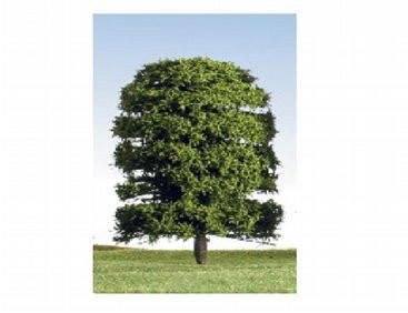  K+M Model Trees 125mm Single Deciduous Green Model Tree 