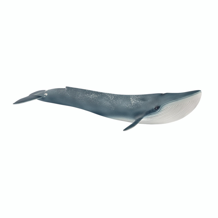  Schleich New Blue Whale 