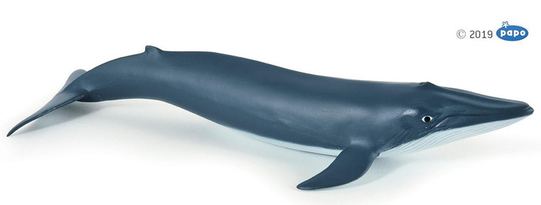  Papo Toys Blue Whale Calf 