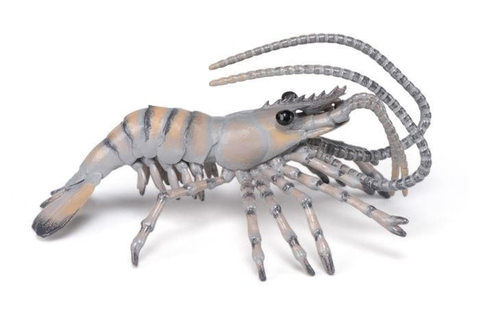 Papo Toys Shrimp 