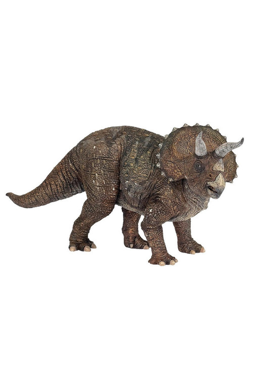  Papo Toys Triceratops Dinosaur 
