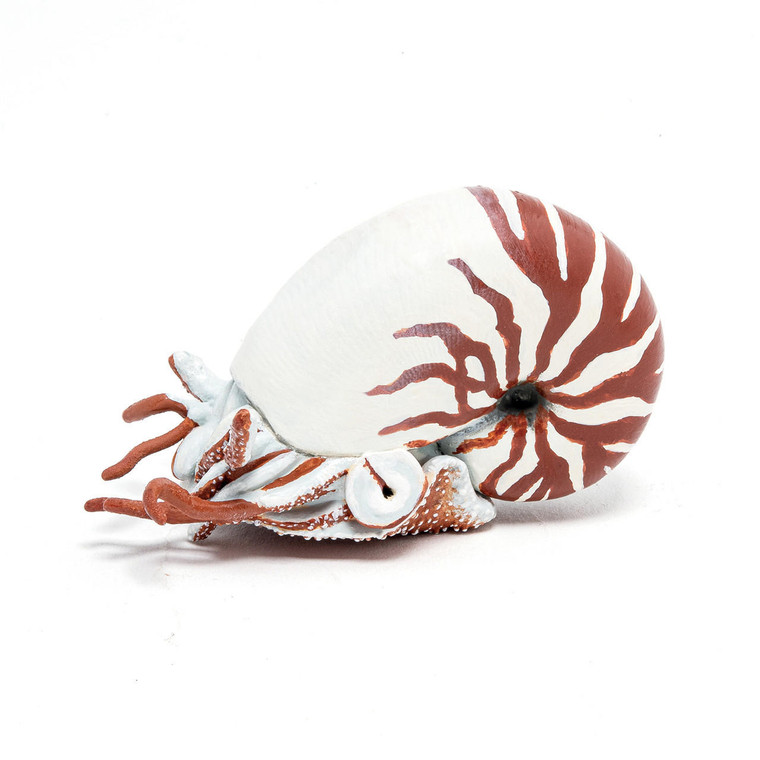  Papo Toys Nautilus 