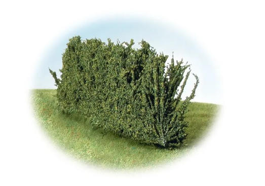 K+M Model Trees K+M Model Country Hedge  170MM 