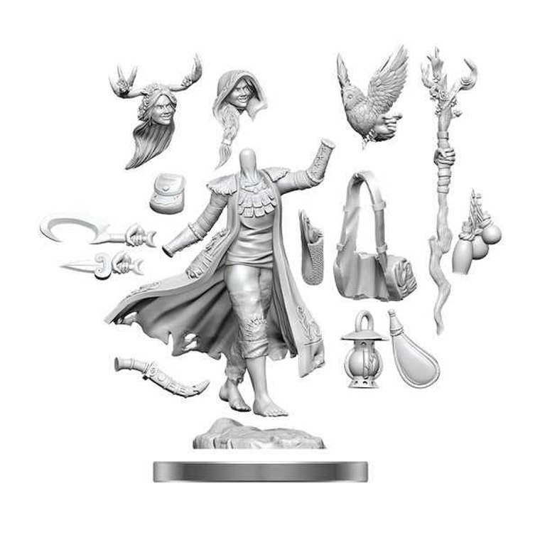  WizKids D&D Frameworks Female Human Druid 