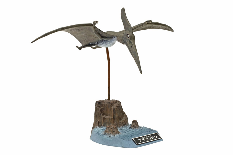  Tamiya Pteranodon Model Kit 