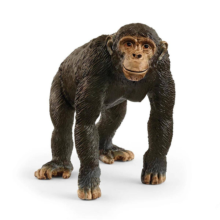  Schleich Chimpanzee 