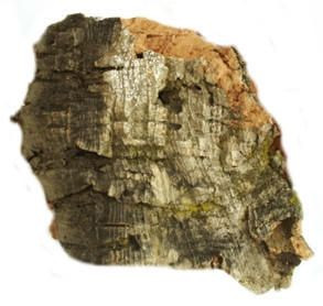  Javis Cork Bark Medium 