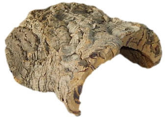  Javis Cork Bark Large 