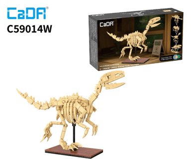 CaDA Dinosaur Fossils - Velociraptor