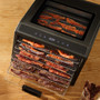 Excalibur 6 Tray Performance Digital Dehydrator in Stainless Steel (DH06SSSS33G)