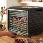 Ex-Display Excalibur 10 Tray Performance Digital Dehydrator in Stainless Steel (DH10SSSS33G)