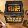 Ex-Display Excalibur 10 Tray Performance Digital Dehydrator in Stainless Steel (DH10SSSS33G)