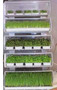Stacked EasyGreens
