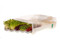 EasyGreen Sprouter