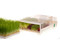 EasyGreen Sprouter