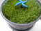 FreshLife Automatic Sprouter