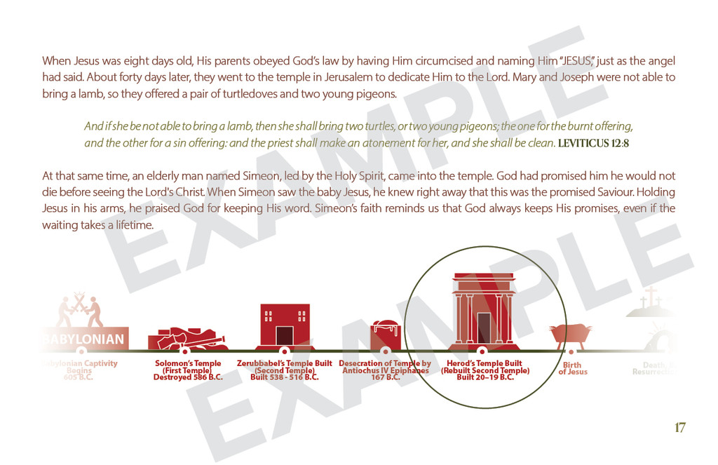 An In–depth Look at the Birth of Jesus in 10 Events