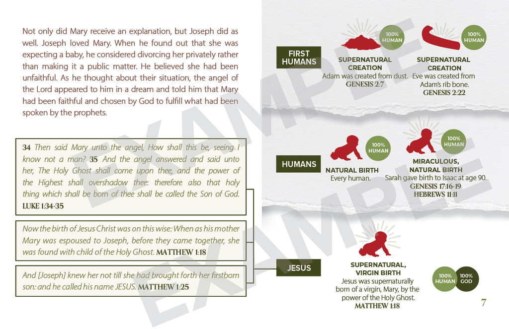 An In–depth Look at the Birth of Jesus in 10 Events