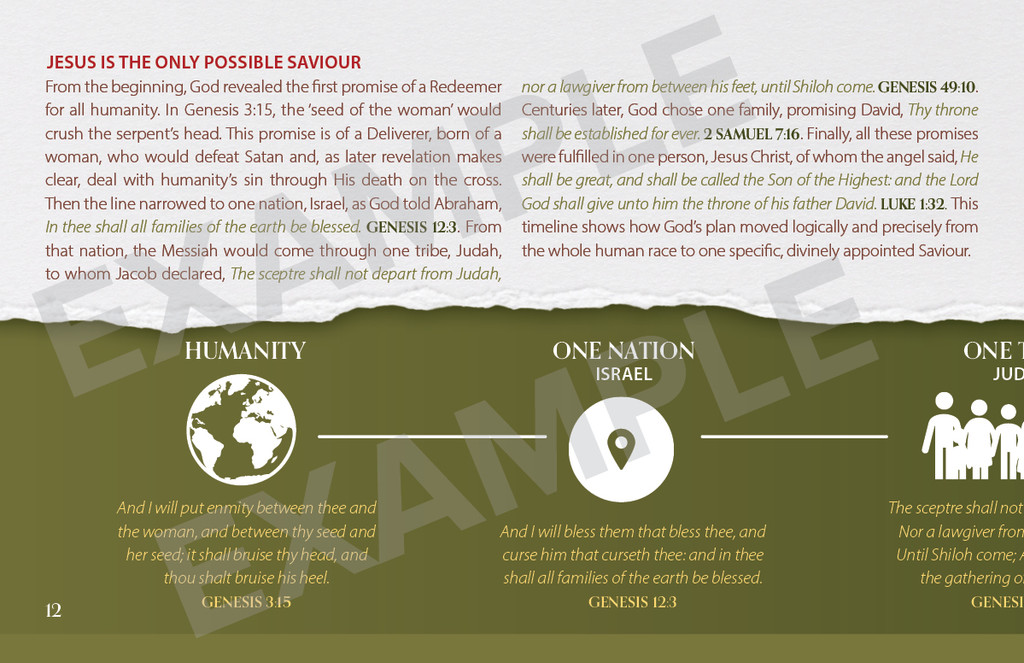 An In–depth Look at the Birth of Jesus in 10 Events