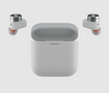 B&W Pi5 S2 Wireless Earbuds in Could Gray. Image with case
