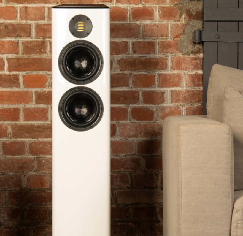 ELAC FS407 Voted best speaker under $10K 2023