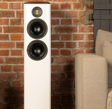 ELAC FS407 Voted best speaker under $10K 2023