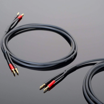 Transparent Hardwired Speaker Cables