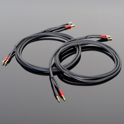 Transparent Hardwired Speaker Cables
