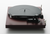 ProJect Debut EVO 2 Turntable with Pick It MM Cartridge, in Satin Red Wine, side view of tonearm