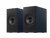KEF Coda W Active Speakers in Midnight Blue, pair
