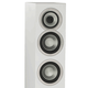 Floor Standing Loudspeakers