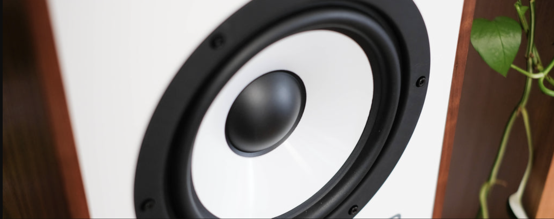 -mission-770-speakers-polypropylene0driver-vinyl-revival.png -mission-770-speakers-polypropylene0driver-vinyl-revival.png