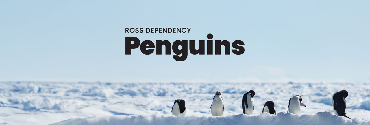 Ross Dependency stamps