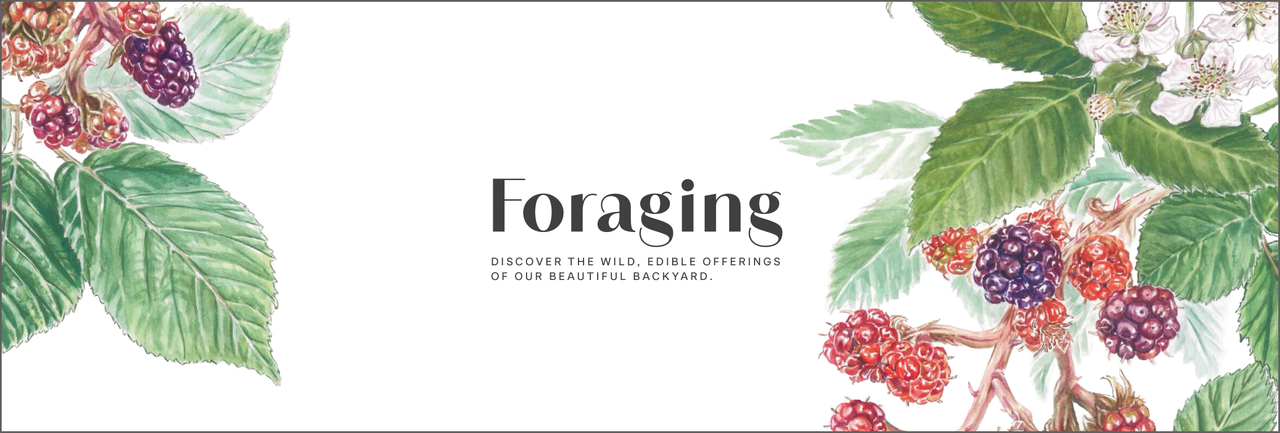 Foraging