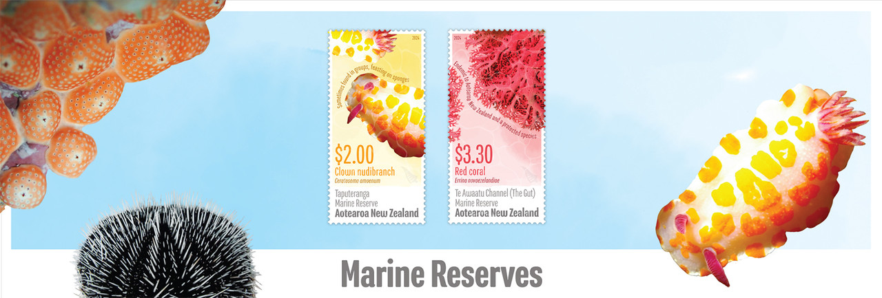 Marine Reserves