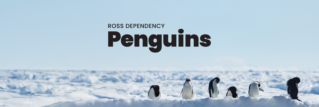 Ross Dependency: Penguins
