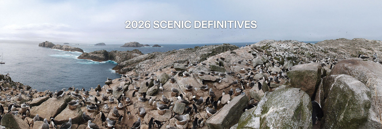2026 Scenic Definitives