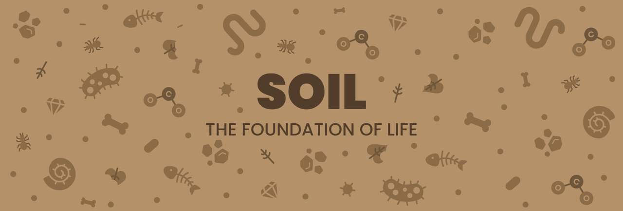 Soil: The Foundation of Life