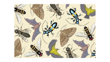 Native Pollinators