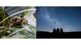 All Things Big and Small. Treasuring Our Natural World.