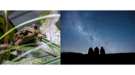 All Things Big and Small. Treasuring Our Natural World.