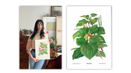 Foraging with Erin Forsyth