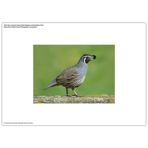 2023 Game Bird Habitat Limited Edition Photo Print | NZ Post Collectables