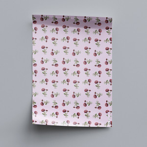 Alpine Flowers: Black Scree Button Daisy Wrapping Paper Sheet | NZ Post Collectables