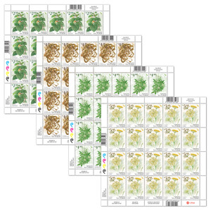Foraging Set of Stamp Sheets | NZ Post Collectables
